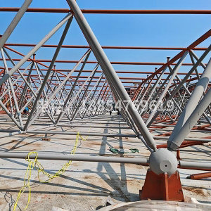 滨州科技职业学院校区项目报告厅网架工程特点分析